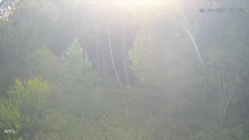 Камера Новая