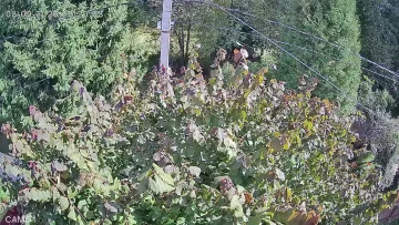 Камера Сенеж